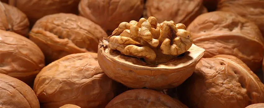 A close-up of walnuts.